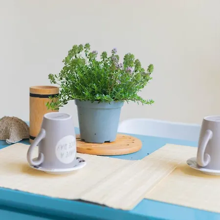 H11 Blu - Vicino A Spiagge - Casino * Санремо